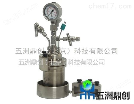 北京厂家 高压平行反应釜 小型高压反应器