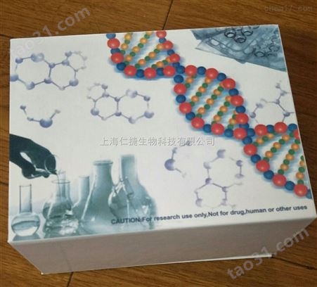小鼠短链脂肪酸（SCFA）elisa检测试剂盒科研