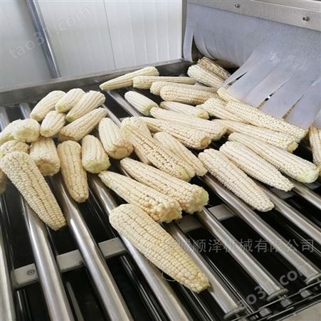 甜玉米蒸煮加工设备 玉米加工流水线