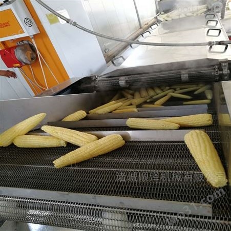 甜玉米蒸煮加工设备 玉米加工流水线