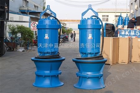大流量潜水泵选型报价/潜水轴流泵安装形式