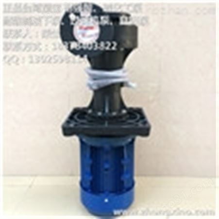 供塑宝立式液下化工泵SWP-63SK-10