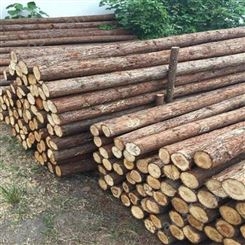 园林绿化杉木桩直径 防汛杉木桩直径 胜洁木业