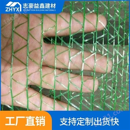 广州六针盖土网厂商生产_盖土网厂商订购_志豪益鑫