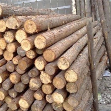 园林绿化杉木桩尺寸 宿迁杉木桩施工 胜洁木业