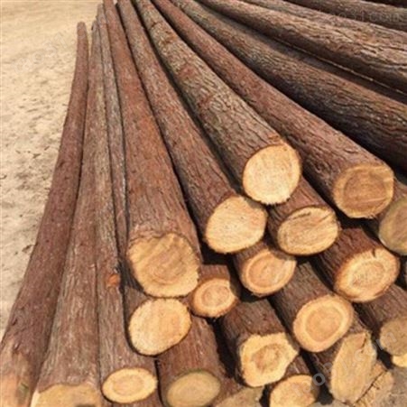 2米杉木桩尺寸 防洪杉木桩图片 防腐杉木桩直径