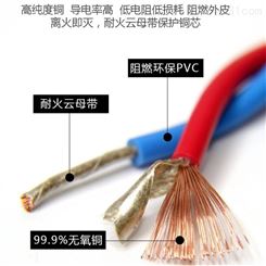 耐高温氟塑料控制电缆 ZR-KVVP2-22 4*1.5 现货批发 定制 天长