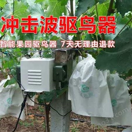 西安小号风力智能驱鸟器价格智能防鸟刺厂家 太阳能果园农业驱鸟器