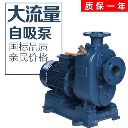 BZ三相工业自吸泵380V管道泵卧式离心泵抽水泵农用大流量抽水机