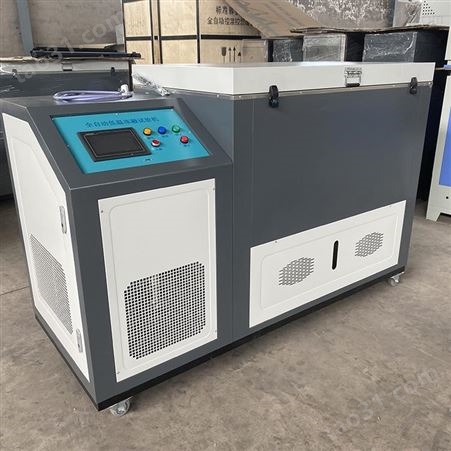 砼抗冻性试验箱 砼冻融试验机 全自动低温冻融试验机 欢迎订购