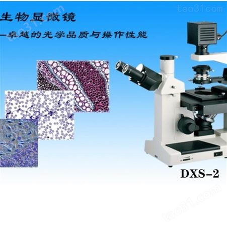显微镜DXS-2倒置生物显微镜