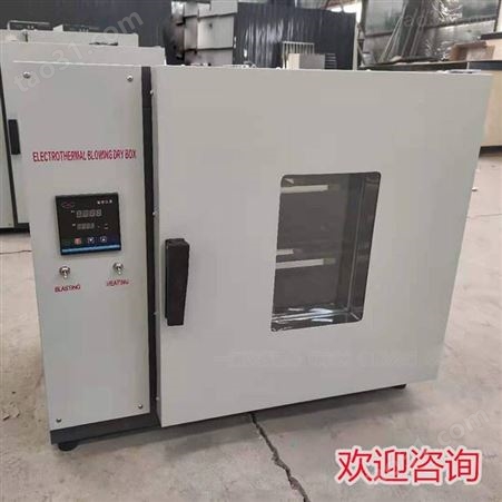 电热恒温鼓风干燥箱实验室小型烘箱烘干机工业高温烤箱烘干箱 101型高温箱