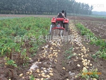 土豆挖掘机 收土豆机器80公分宽的多少钱