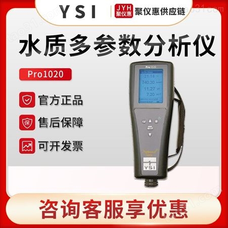 美国维赛YSI Pro1020 手持式溶解氧酸碱值氧化还原电位分析测量仪