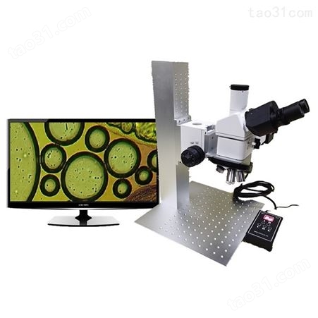 厂家定制电动金相显微镜 视频工具显微镜 角度测量显微镜