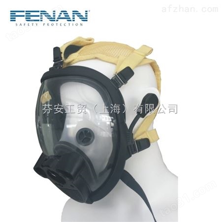 芬安FENAN 新*正压式消防智能空气呼吸器
