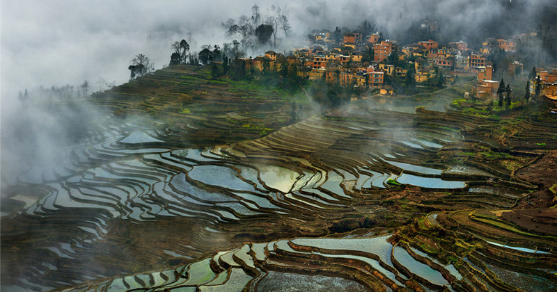国外摄影师镜头下的美景：中国水稻梯田